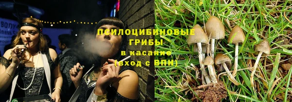дмт Алексеевка