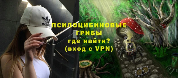 дмт Алексеевка