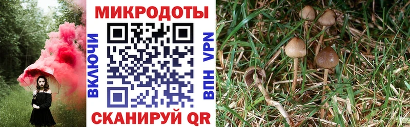 mega рабочий сайт  Шелехов  Галлюциногенные грибы мухоморы  купить наркотик 