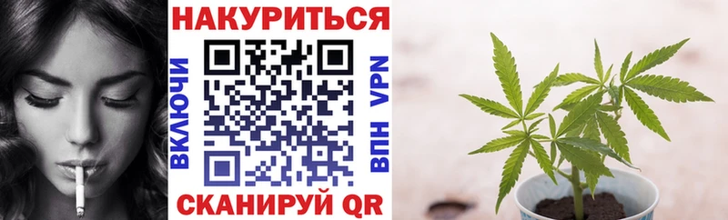 Каннабис план Шелехов